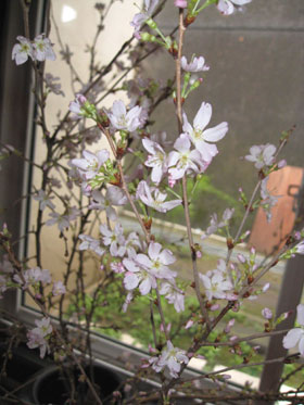 090401_06.jpg